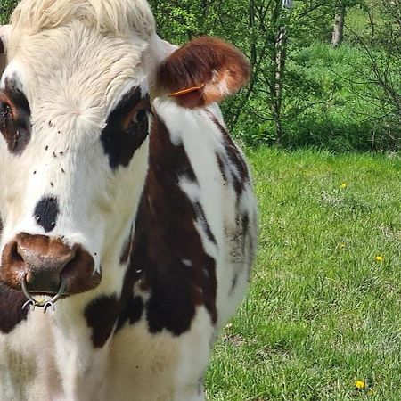 Roulotte A La Ferme Buissonniere Villa La Lande-de-Louge Kültér fotó