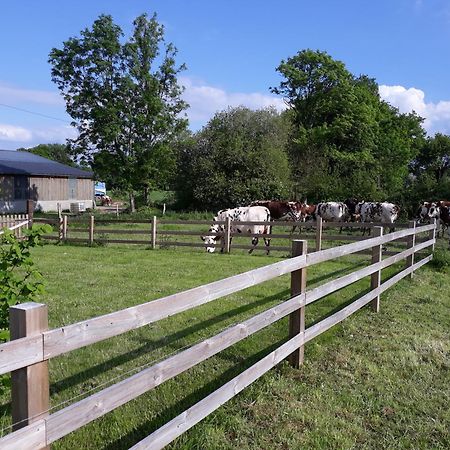 Roulotte A La Ferme Buissonniere Villa La Lande-de-Louge Kültér fotó