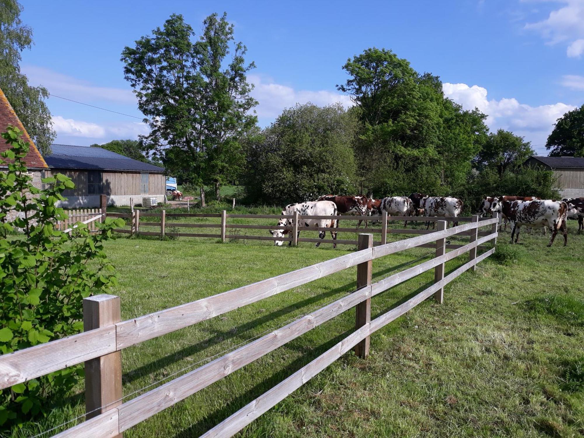 Roulotte A La Ferme Buissonniere Villa La Lande-de-Louge Kültér fotó